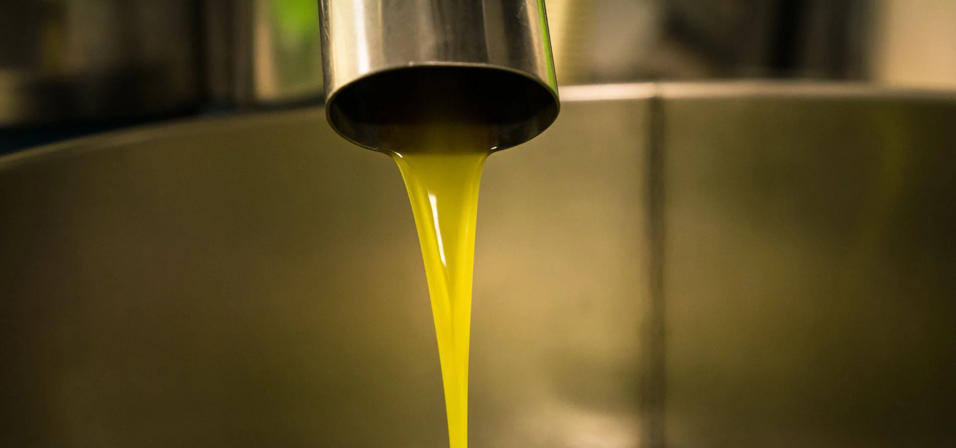 Fresh olive oil running from the mill spout